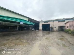 大岭山杨屋村单一层厂房 独门独院 对外出租 单一层面积:3800平方 宿舍1-2层:400平方，7米