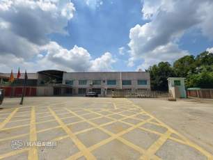 大岭山镇，石大路砖墙到顶单一层钢构独院3680平方，现成阁楼办公室装修，松山湖一路之隔